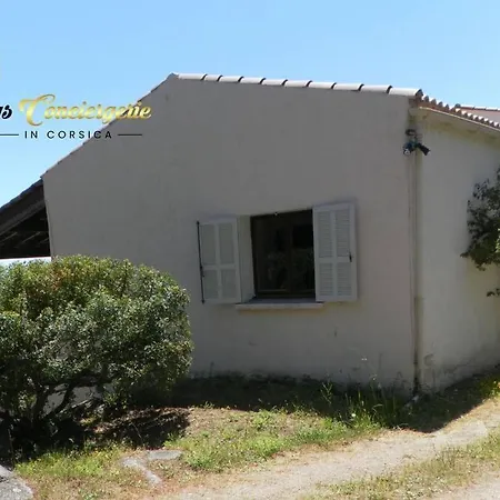 Villa Maison 6 Pers Oliveraie Vue Mer 5 Min Plage Pinarello Mangialla