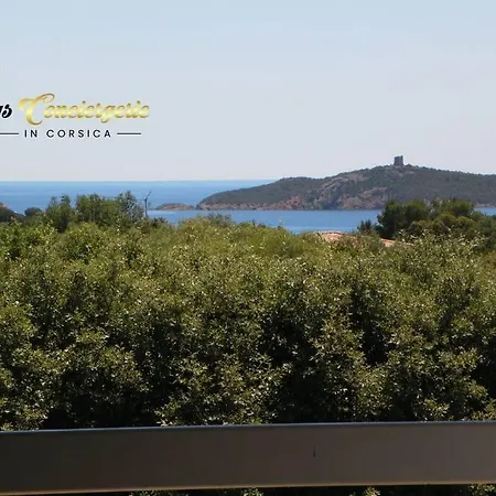Villa Maison 6 Pers Oliveraie Vue Mer 5 Min Plage Pinarello
