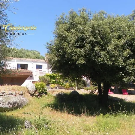 Villa Maison 6 Pers Oliveraie Vue Mer 5 Min Plage Pinarello