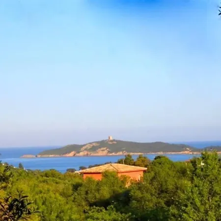Maison 6 Pers Oliveraie Vue Mer 5 Min Plage Pinarello Mangialla
