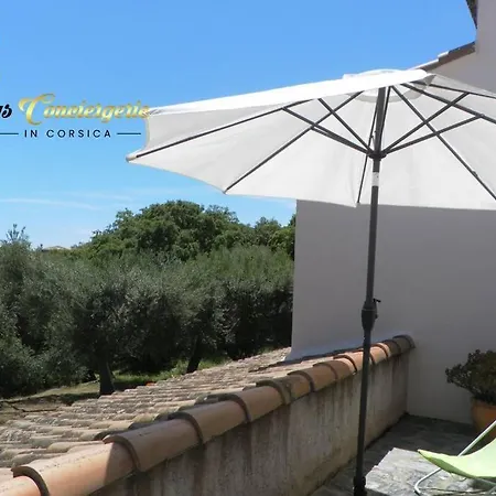 Maison 6 Pers Oliveraie Vue Mer 5 Min Plage Pinarello Villa *
