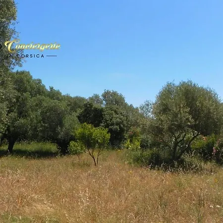 N'est Plus A Louer Villa *