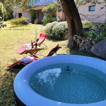 Villa Maison 6 Pers Oliveraie Vue Mer 5 Min Plage Pinarello *
