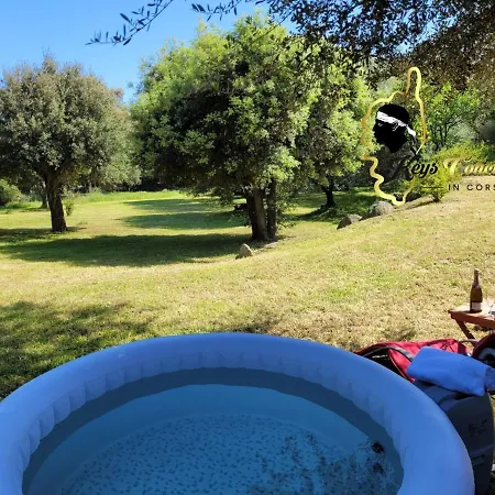 Maison 6 Pers Oliveraie Vue Mer 5 Min Plage Pinarello Villa