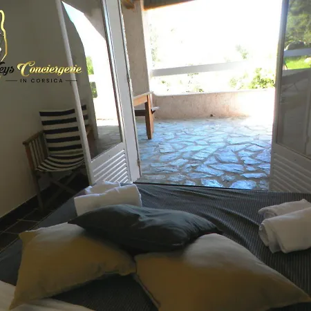 Maison 6 Pers Oliveraie Vue Mer 5 Min Plage Pinarello *