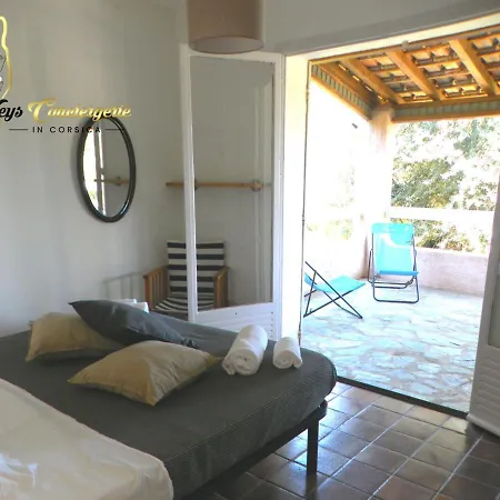 Maison 6 Pers Oliveraie Vue Mer 5 Min Plage Pinarello Villa