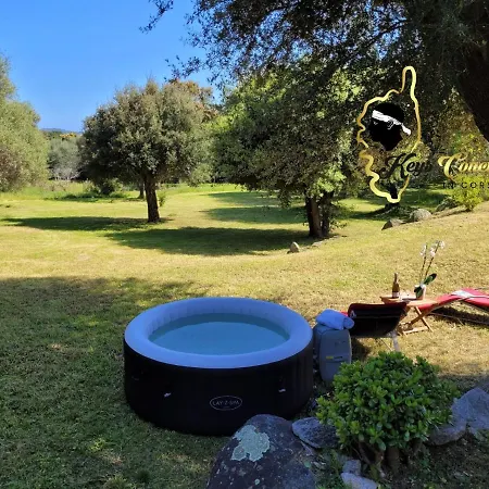Maison 6 Pers Oliveraie Vue Mer 5 Min Plage Pinarello Villa Mangialla