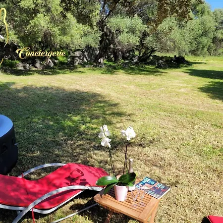 Maison 6 Pers Oliveraie Vue Mer 5 Min Plage Pinarello *