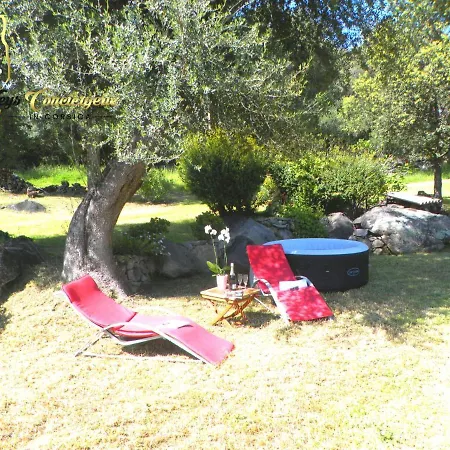 Maison 6 Pers Oliveraie Vue Mer 5 Min Plage Pinarello
